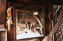 Kanary_2010 126